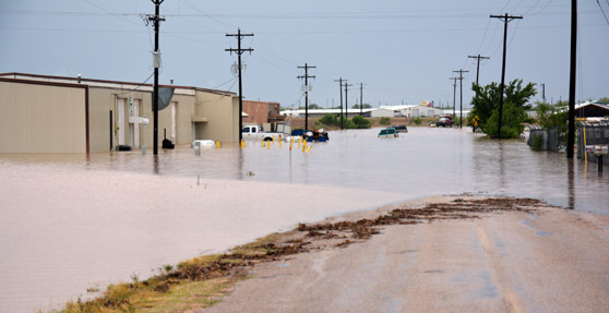 What Do Flooding Cleanup Services Include?