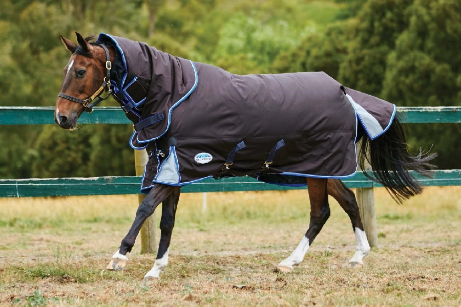 What are horse rugs and important features to look out for?