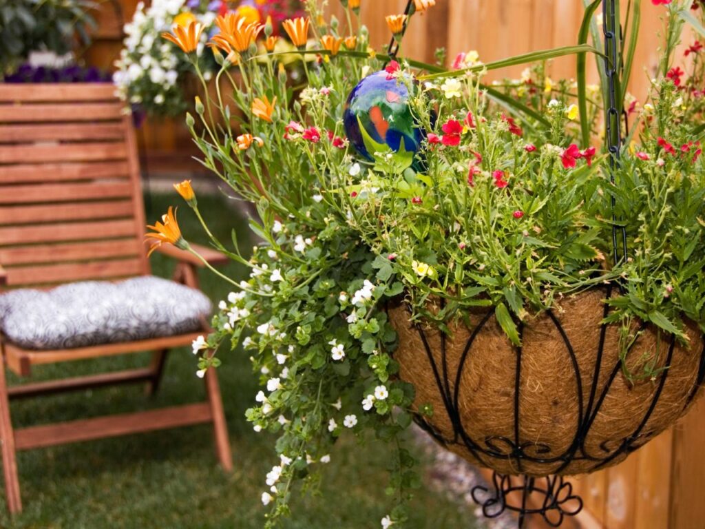 KNOWING THE BEST HANGING BASKET FOR YOUR PLANT.
