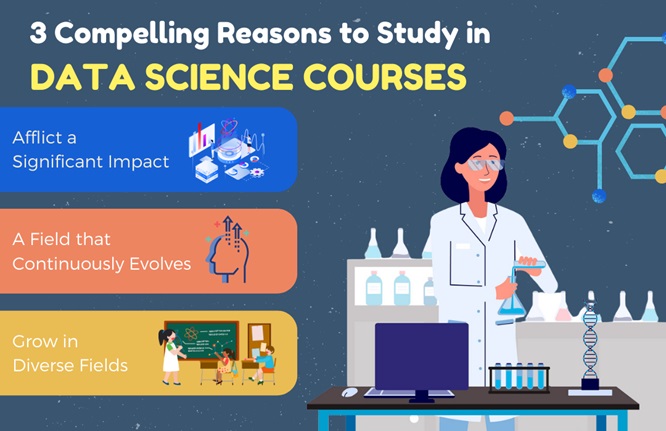 3 Compelling Reasons to Study in Data Science Courses