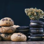 Elevating Your Cannabis Experience to New Heights